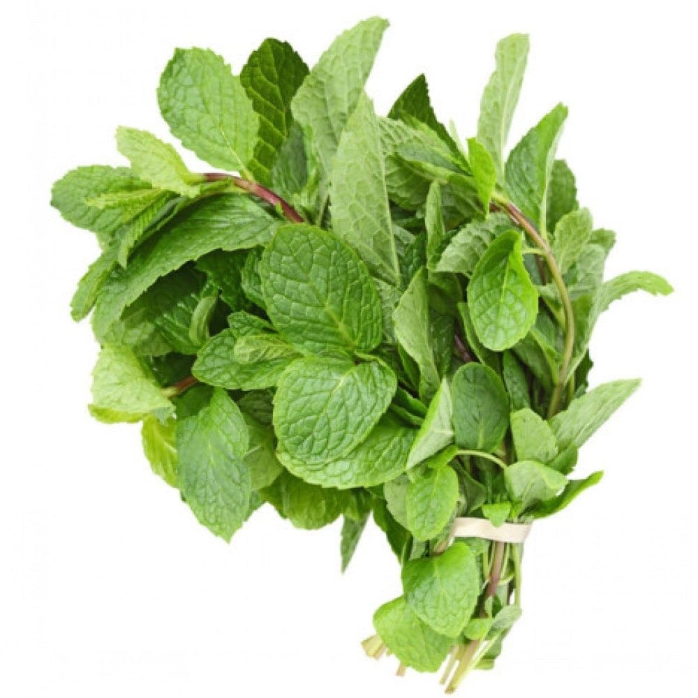Mint/ पुदिना