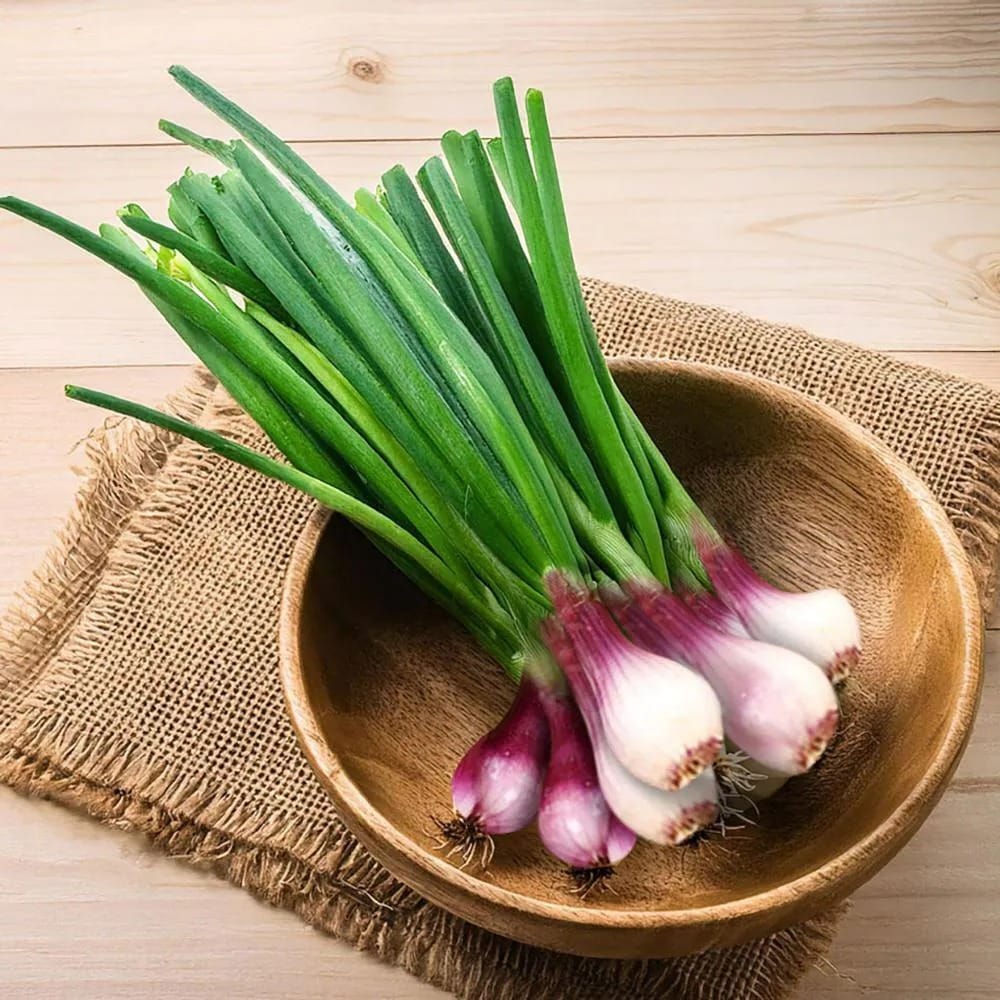 Spring onion/ कांदापात