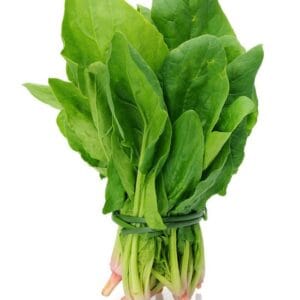 Spinach/ पालक