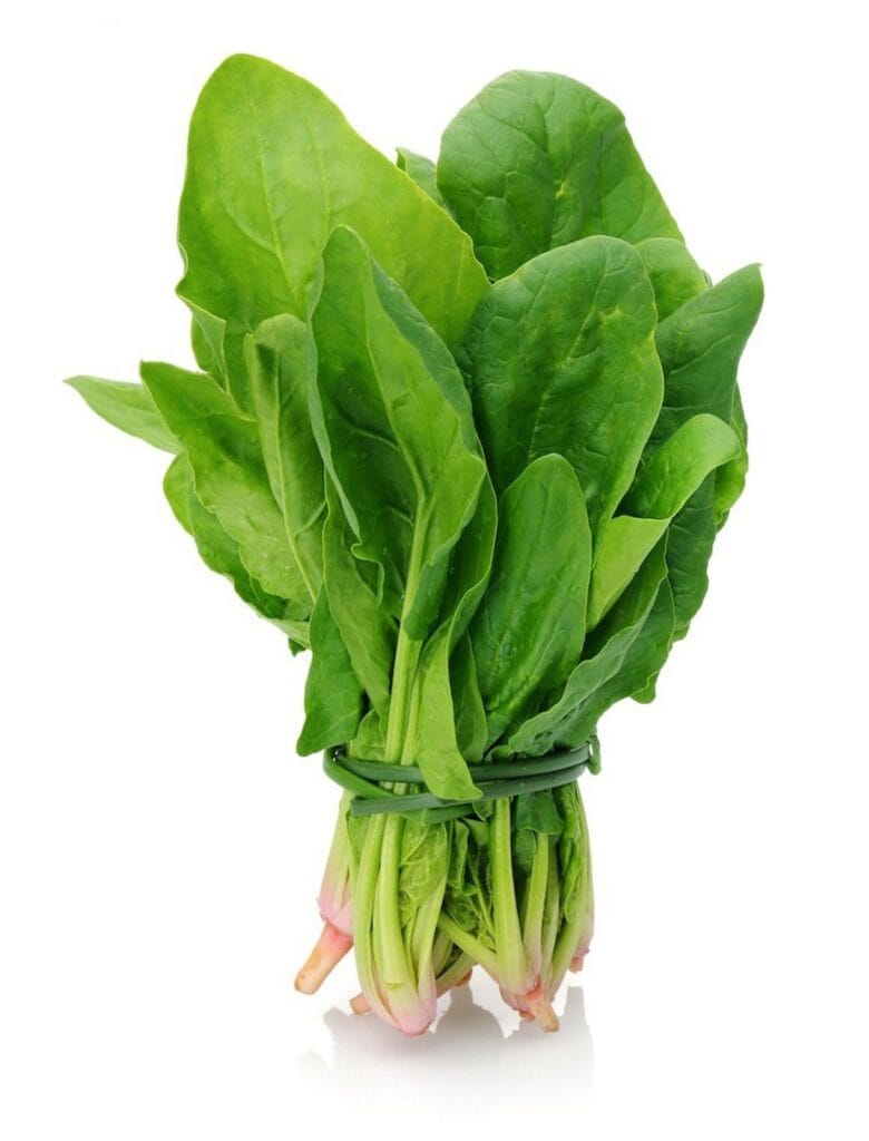 Spinach/ पालक