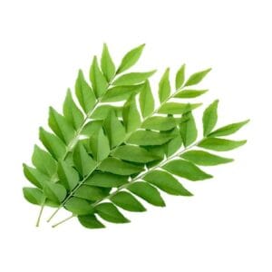 Curry Leaves/ कढीपत्ता जुडी