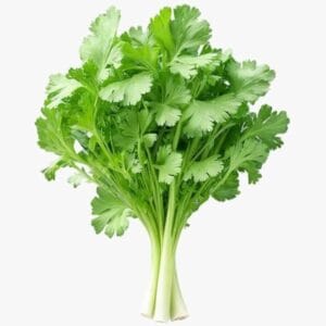 Coriander Leaves/ कोथंबीर