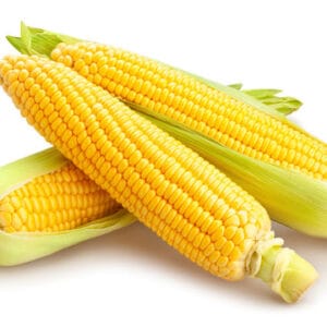Sweet Corn/ स्वीट कॉर्न