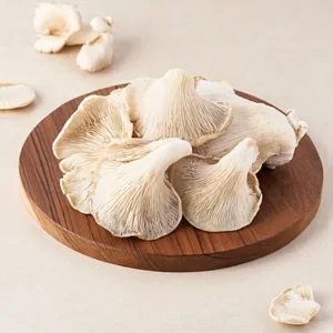 Oyster Mushroom/ ऑयस्टर मशरूम