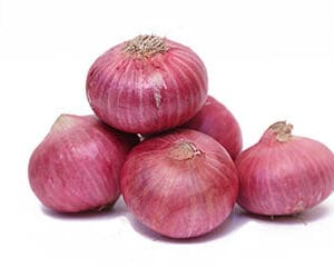 Onion/ कांदा