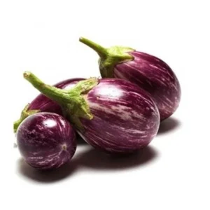 Brinjal/ बैंगन